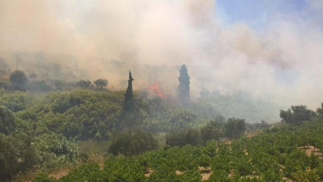 Μυτιλήνη: «Καμμένη γη» άφησε πίσω της η πυρκαγιά στον Καρά Τεπέ